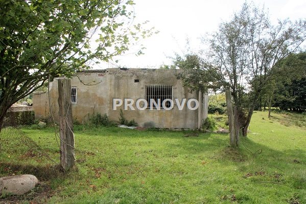 działka 4,5ha Tatynia z możliwością zabudowy (12)