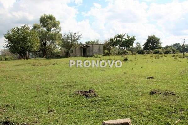 działka 4,5ha Tatynia z możliwością zabudowy (14)