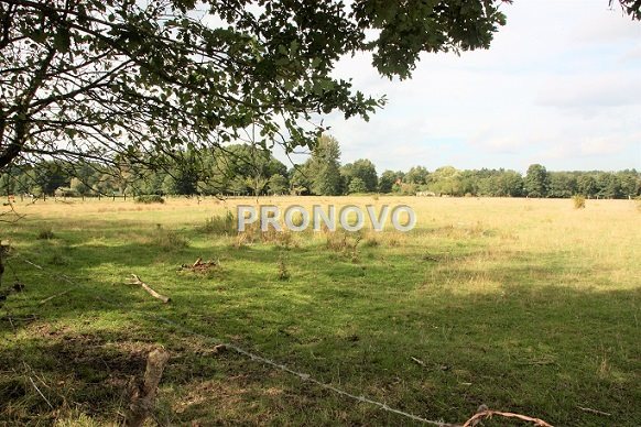 działka 4,5ha Tatynia z możliwością zabudowy (8)