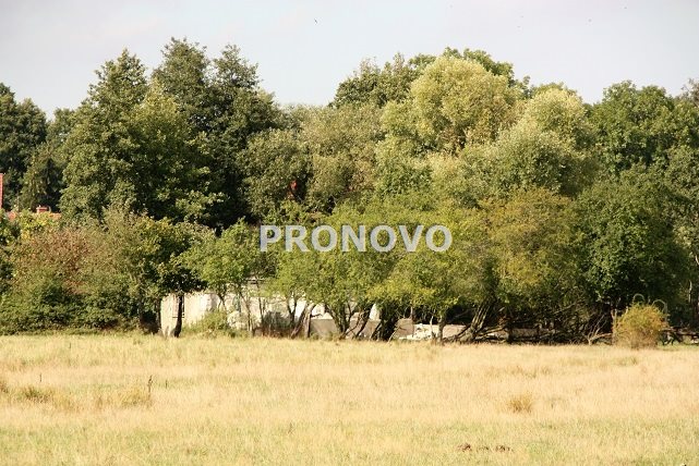 działka 4,5ha Tatynia z możliwością zabudowy (9)