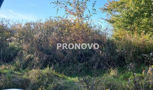 działka inwestycyjna Kijewko (5)