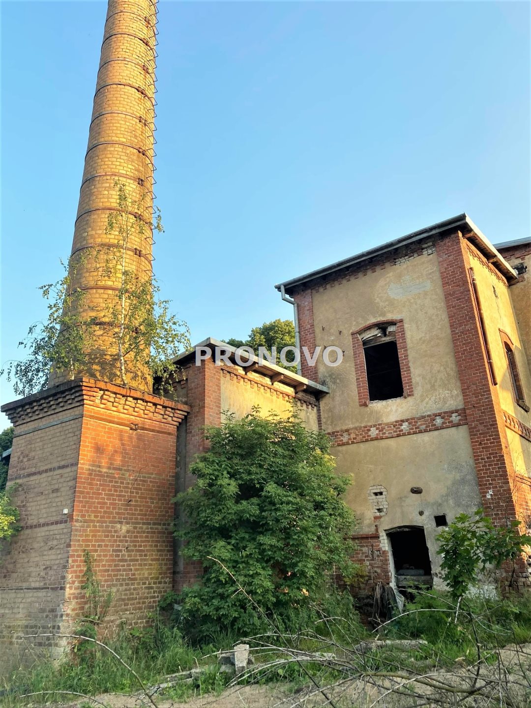 Działka, Pławno  (14)