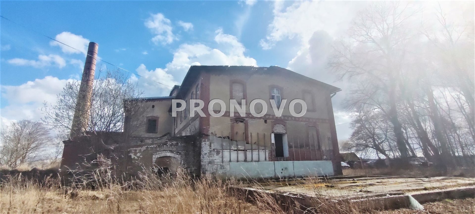 Działka, Pławno  (16)