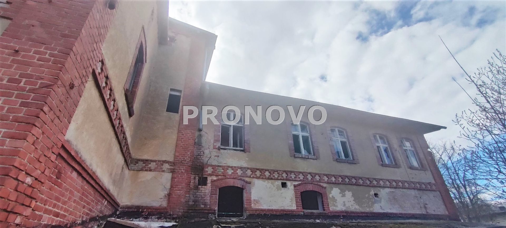 Działka, Pławno  (18)