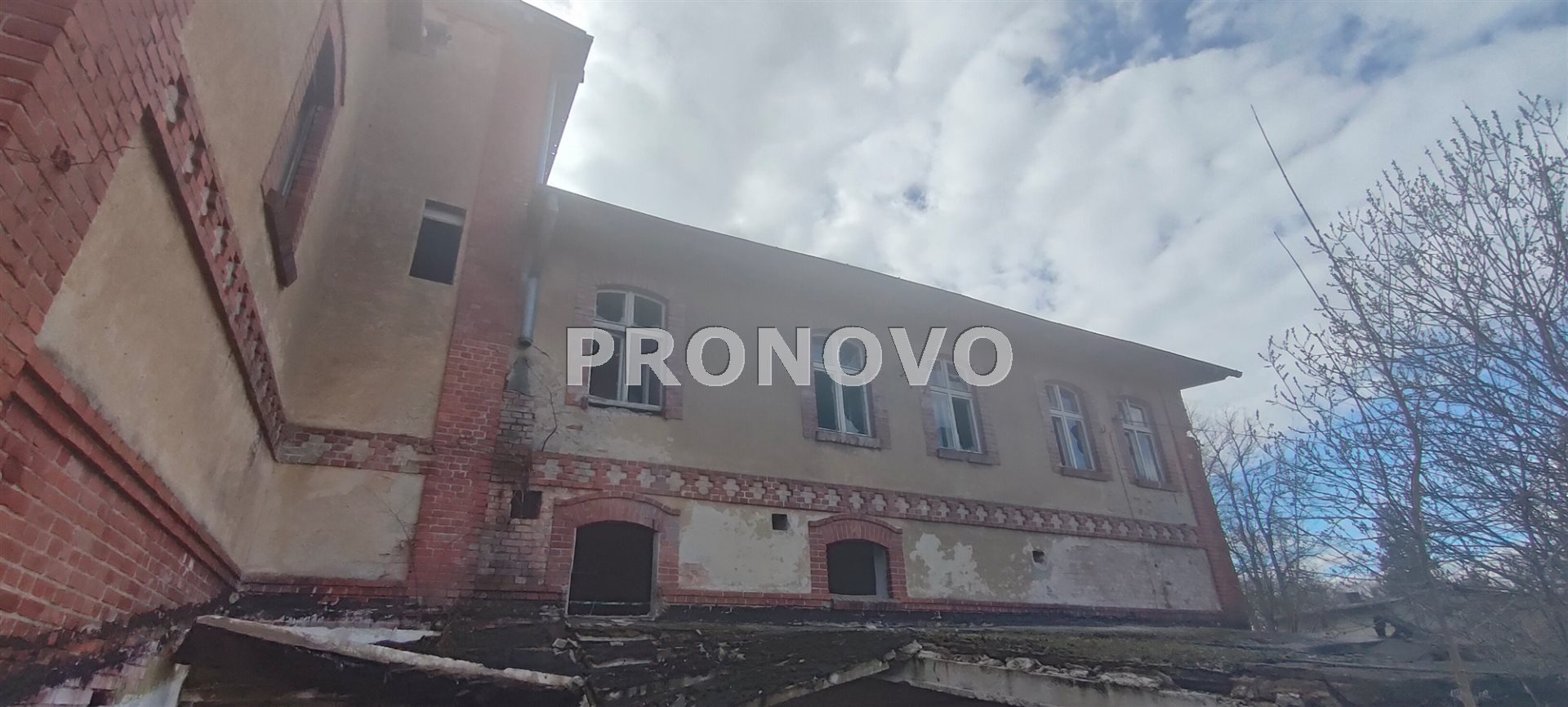 Działka, Pławno  (19)