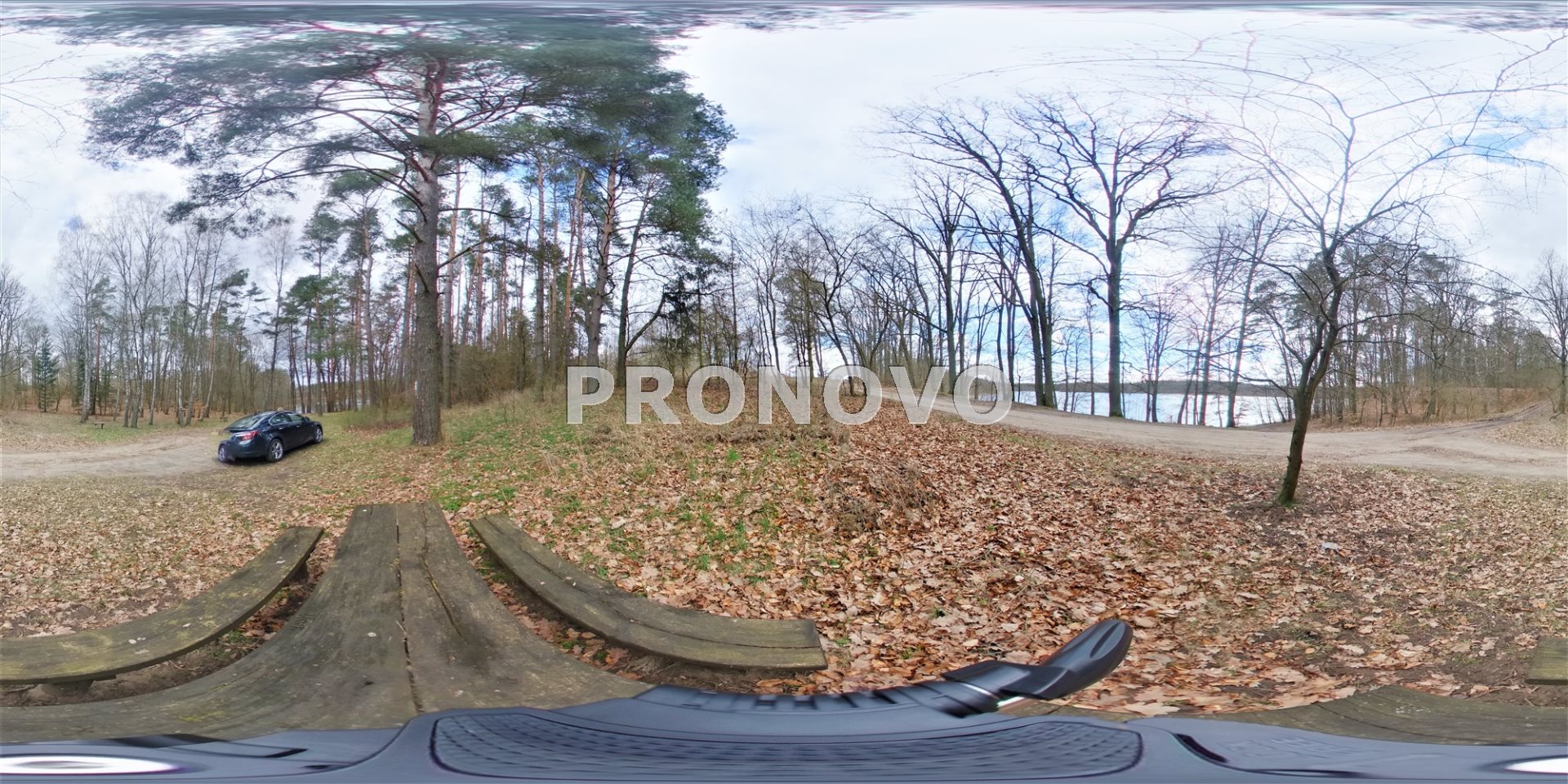 Działka, Pławno  (26)