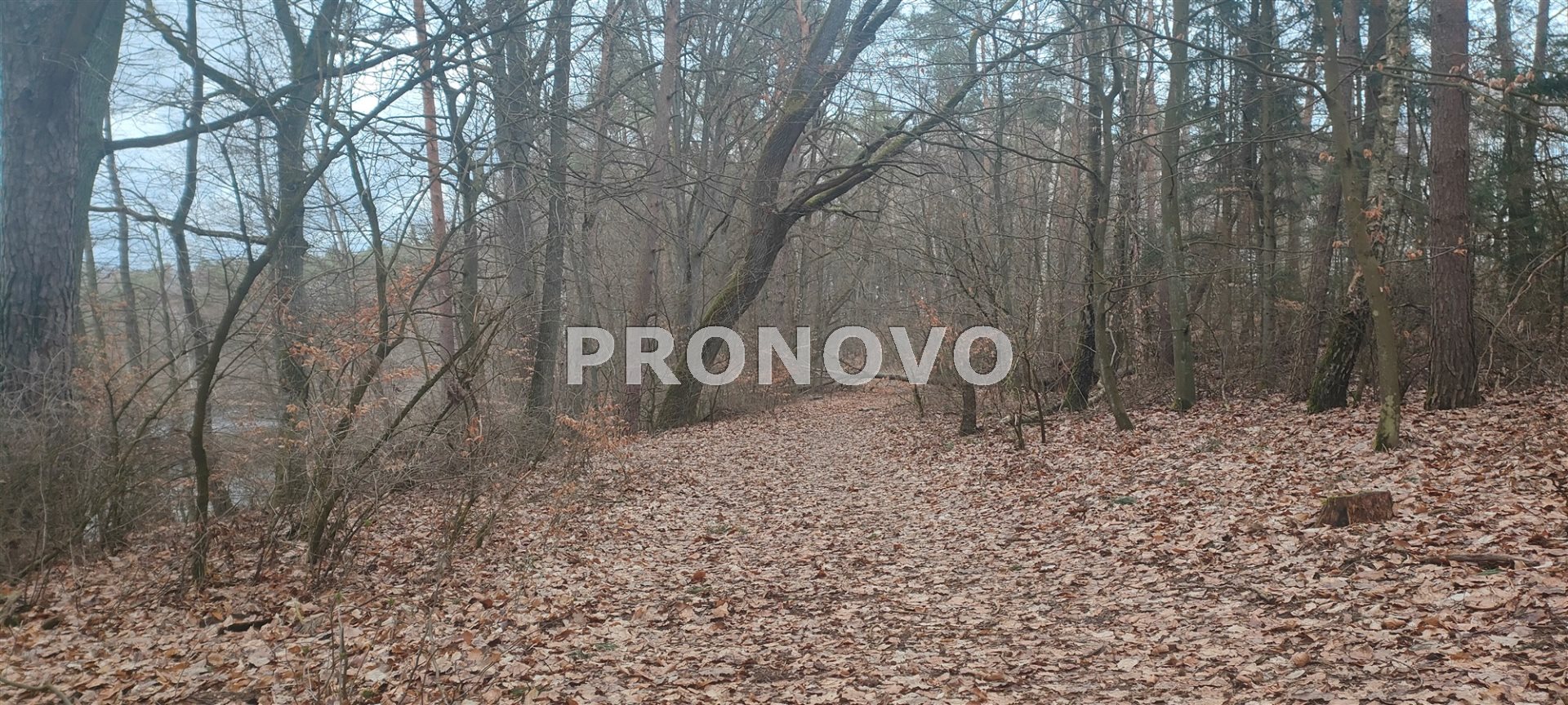 Działka, Pławno  (27)