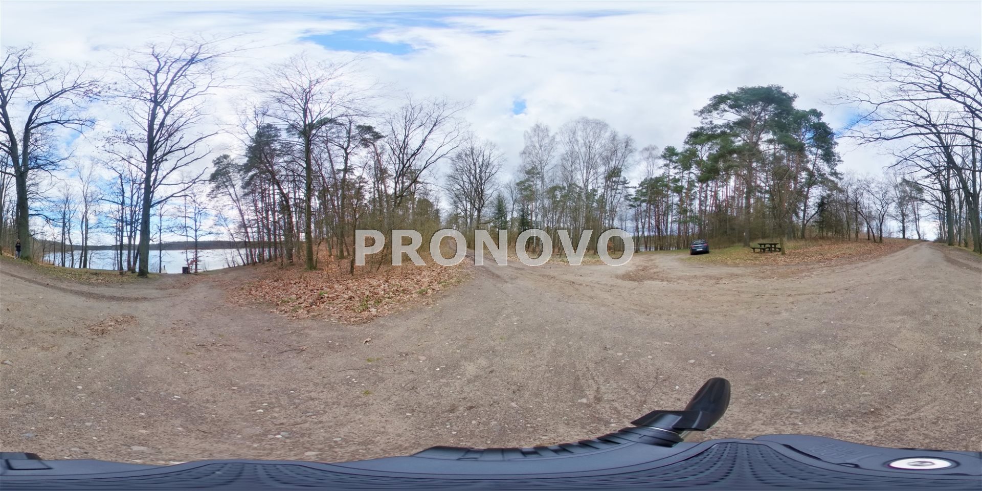 Działka, Pławno  (28)