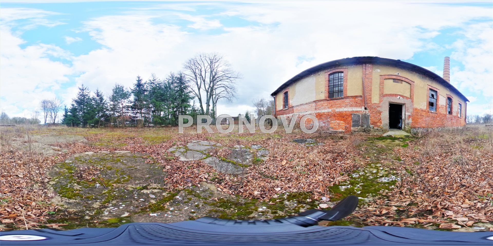 Działka, Pławno  (4)