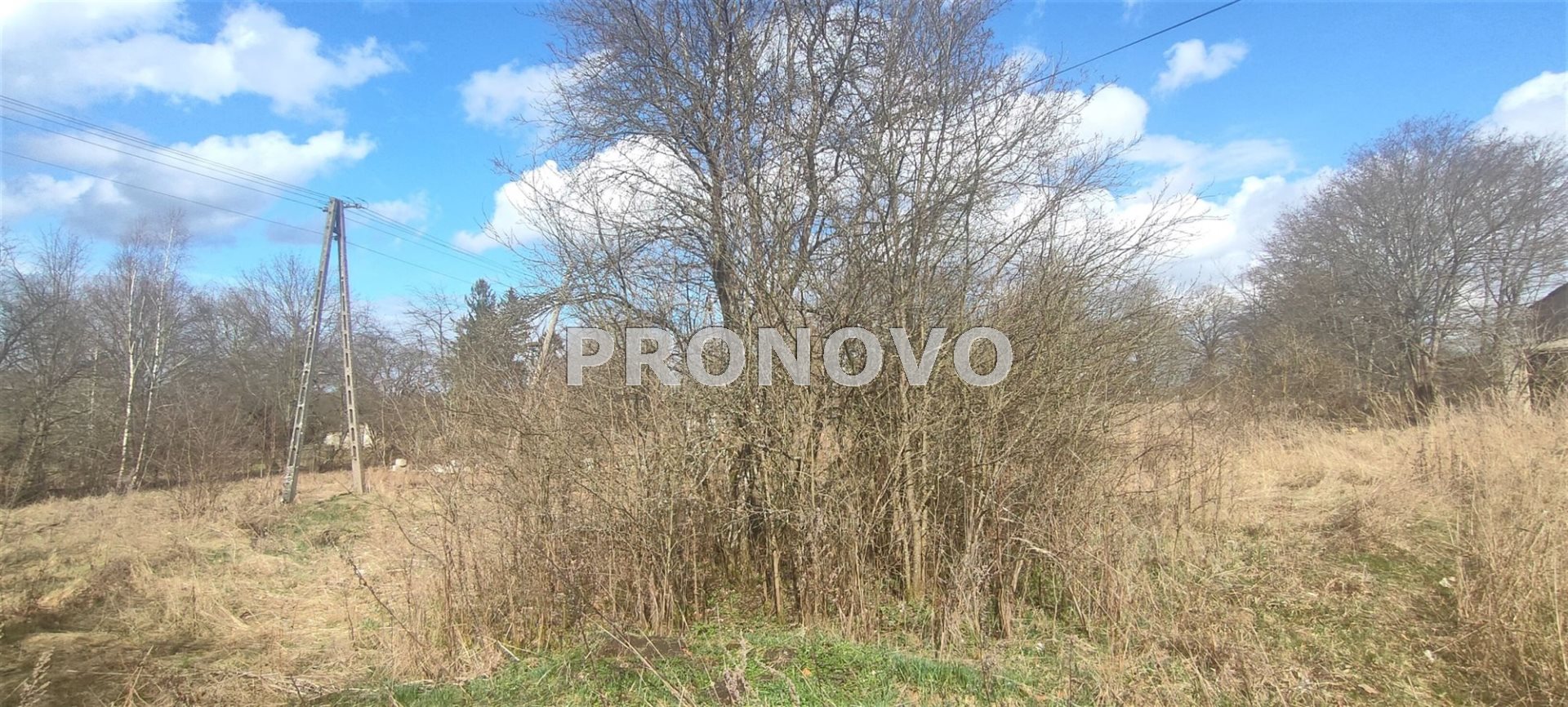 Działka, Pławno  (5)