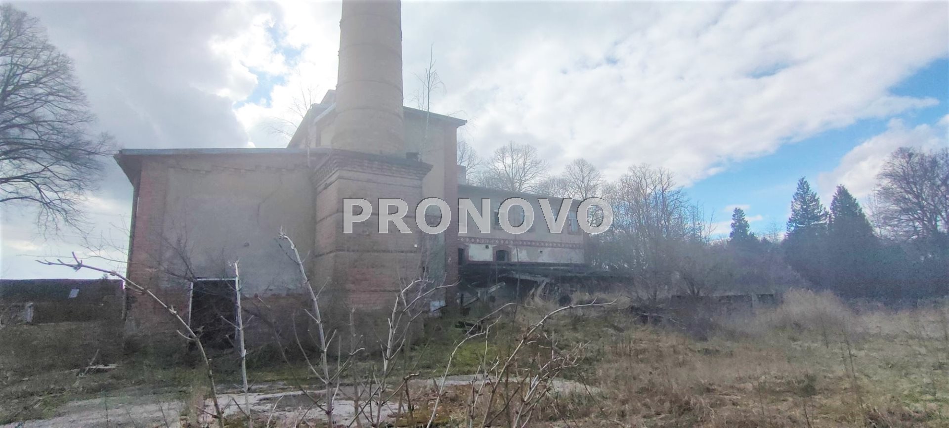 Działka, Pławno  (6)