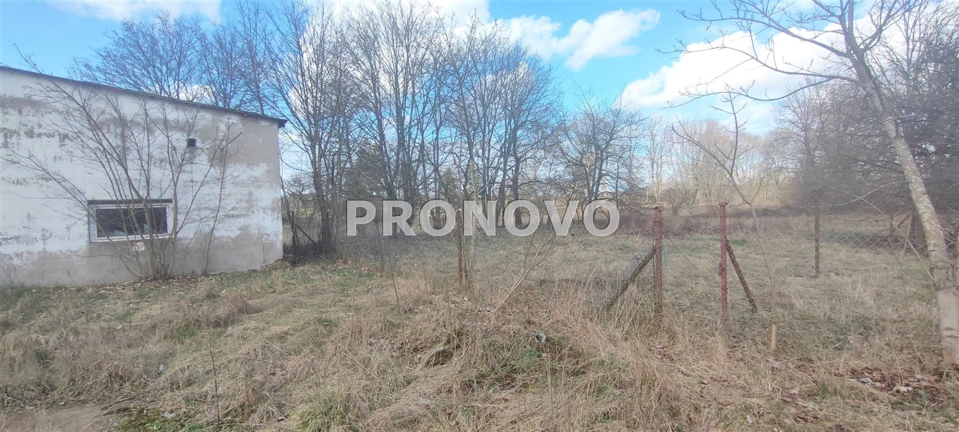 Działka, Pławno  (8)