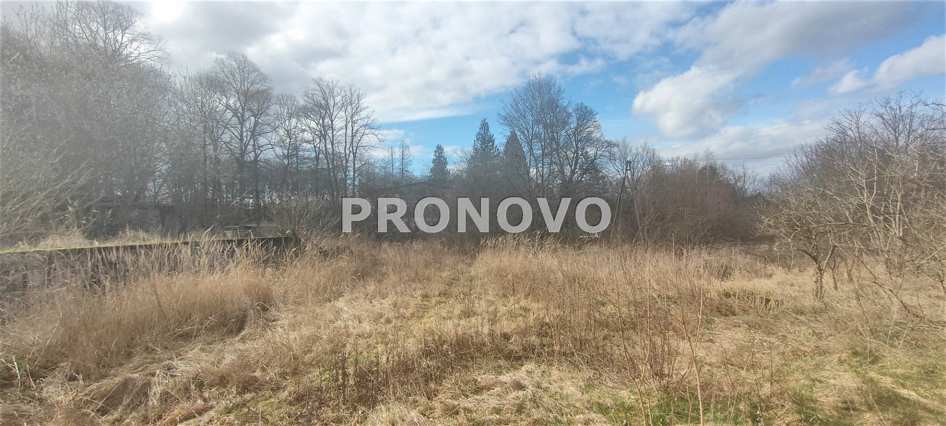 Działka, Pławno  (9)