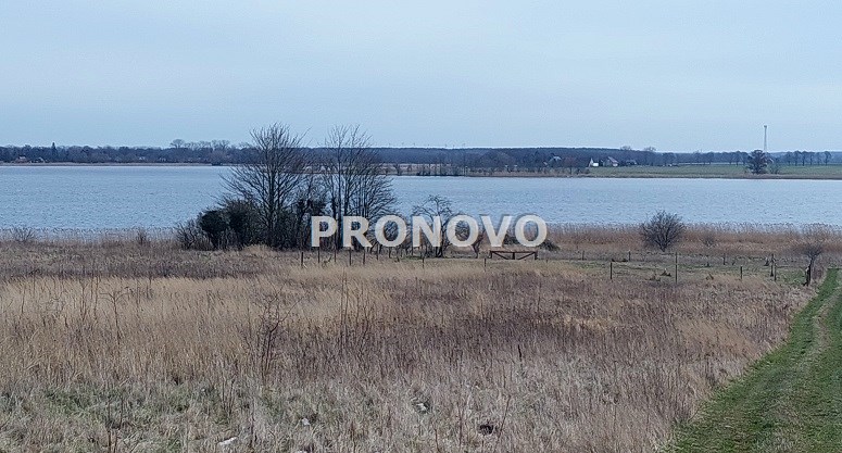 działka nad rzeką Dziwną (4)
