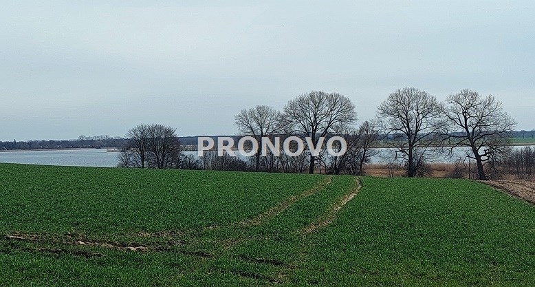 działka nad rzeką Dziwną (8)