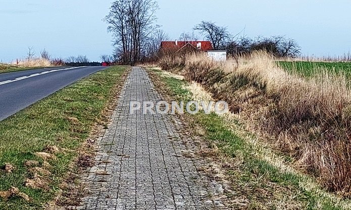 działka nad rzeką Dziwną (5)