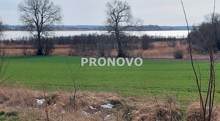 działka nad rzeką Dziwną (8)