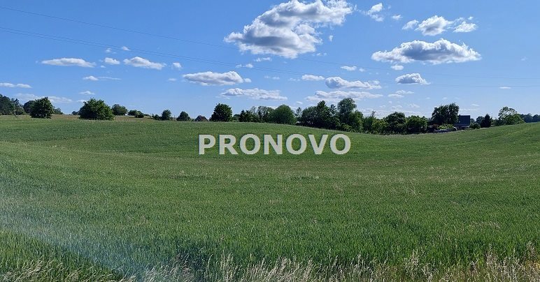 atrakcyjna działka rolna-agroturystyka Stara Studn (1)