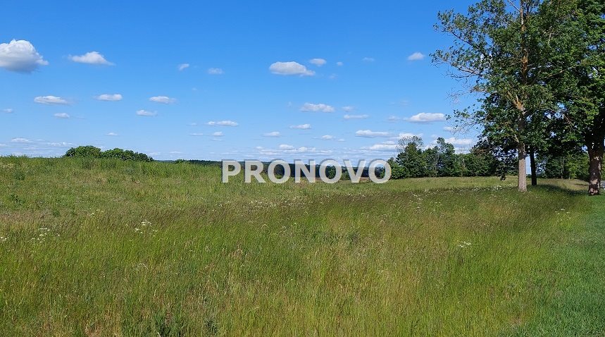 atrakcyjna działka rolna-agroturystyka Stara Studn (4)