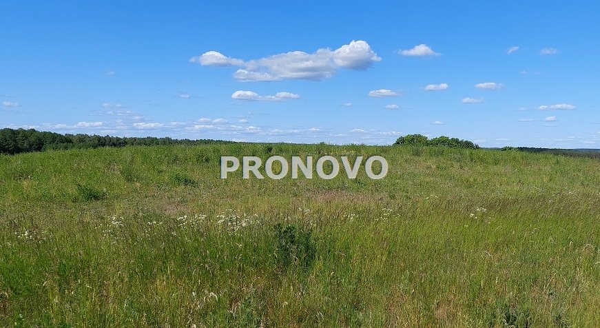 atrakcyjna działka rolna-agroturystyka Stara Studn (5)