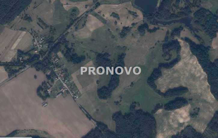 atrakcyjna działka rolna-agroturystyka Stara Studn (9)