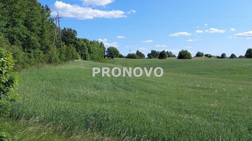 atrakcyjna działka rolna krężno koło Kalisza Pom (2)