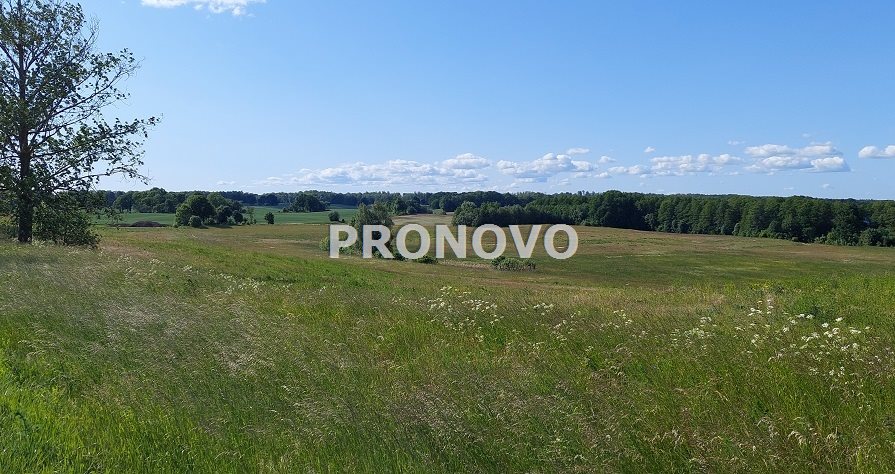 atrakcyjna działka rolna krężno koło Kalisza Pom (3)