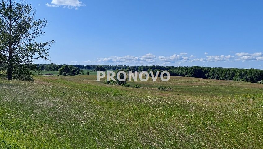 atrakcyjna działka rolna krężno koło Kalisza Pom (6)