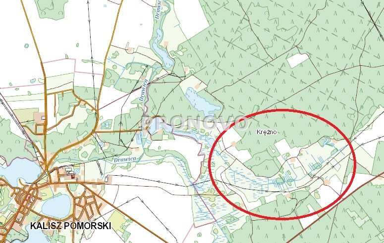 atrakcyjna działka rolna krężno koło Kalisza Pom (7)