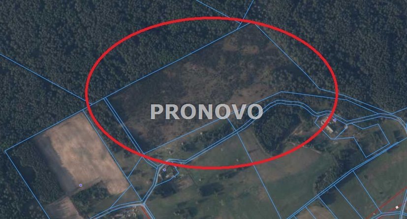 atrakcyjna działka rolna krężno koło Kalisza Pom (9)