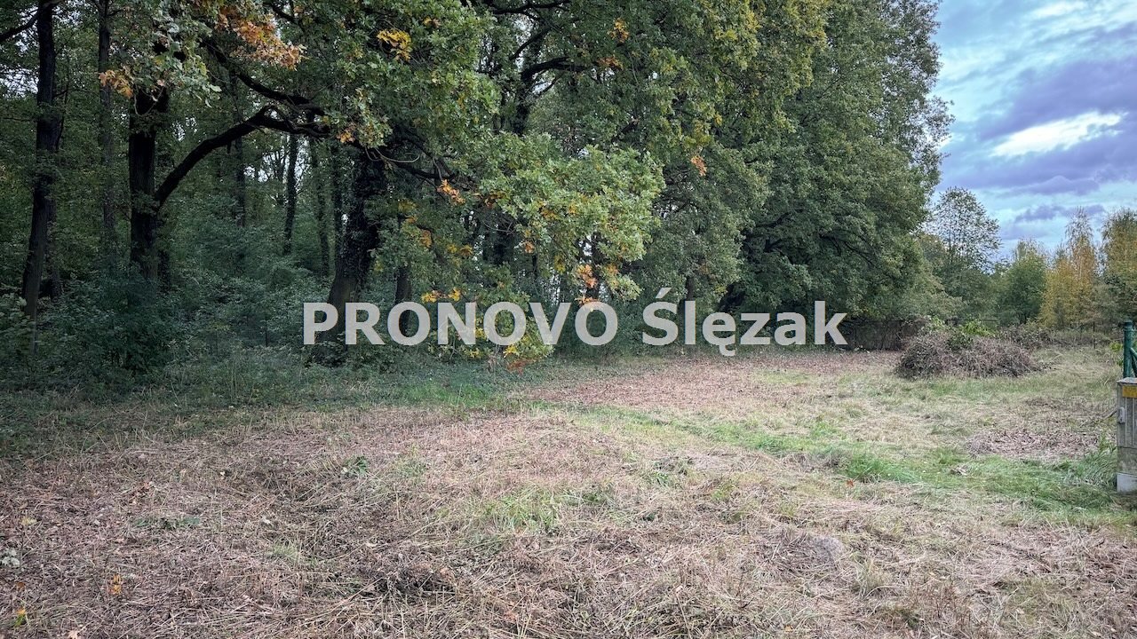 Sprzedam działkę budowlaną Siemianice k.Obornik Śl (1)