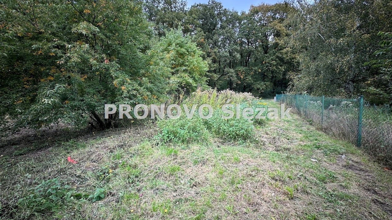 Sprzedam działkę budowlaną Siemianice k.Obornik Śl (5)