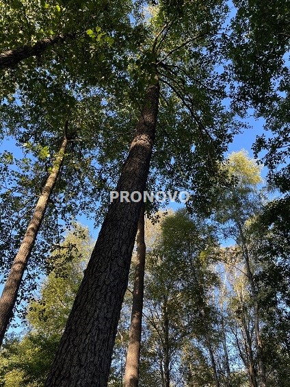 Działka budowlana przy jeziorach koło Łobza (11)