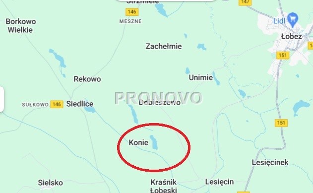 Działka budowlana przy jeziorach koło Łobza (12)