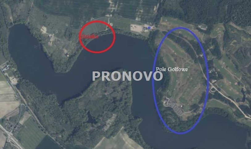 działka 1420m2 nad jeziorem, pole golfowe Choszczn (1)