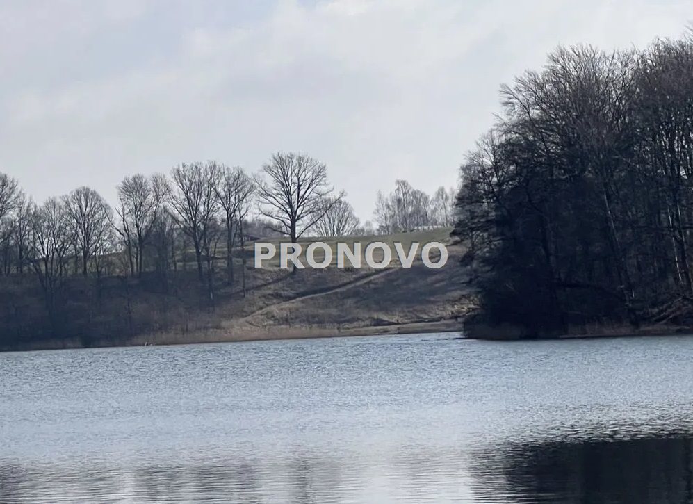 działka 1420m2 nad jeziorem, pole golfowe Choszczn (6)