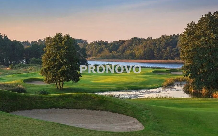 działka 1420m2 nad jeziorem, pole golfowe Choszczn (9)