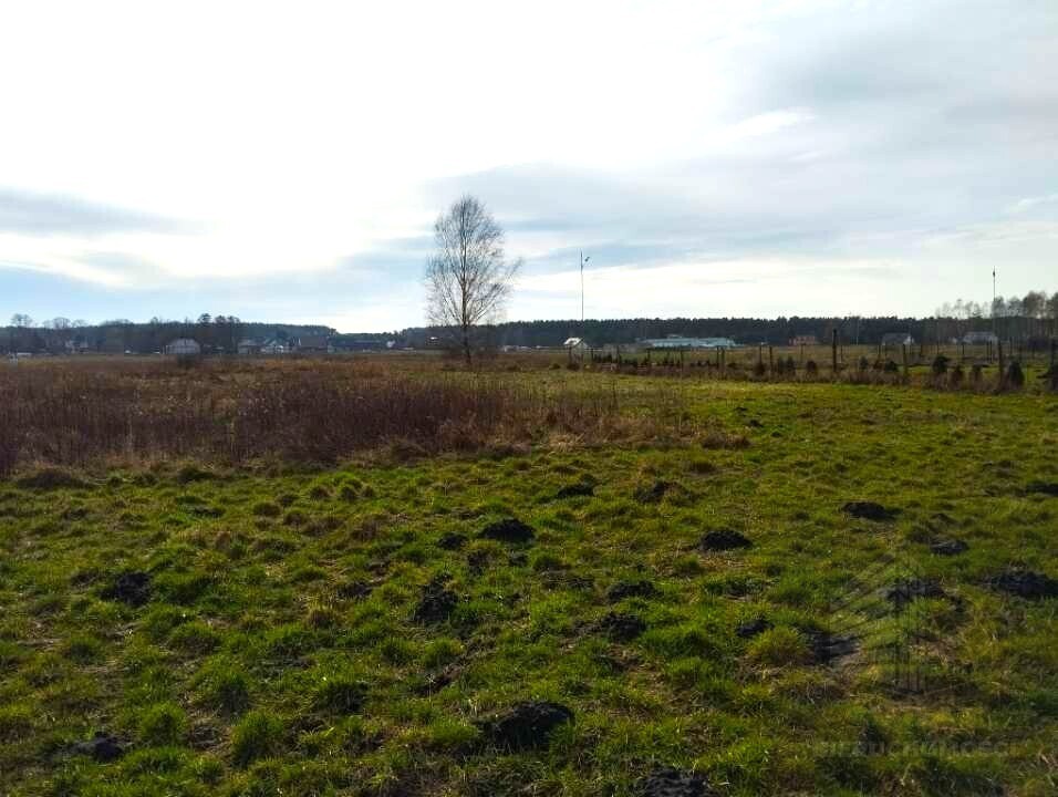 Na sprzedaż działka budowlana – Niedźwiedź (3)