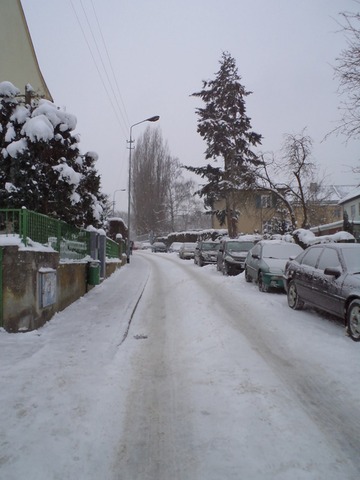 Lokal, 130 m2, parter, Szczecin Śródmieście (10)