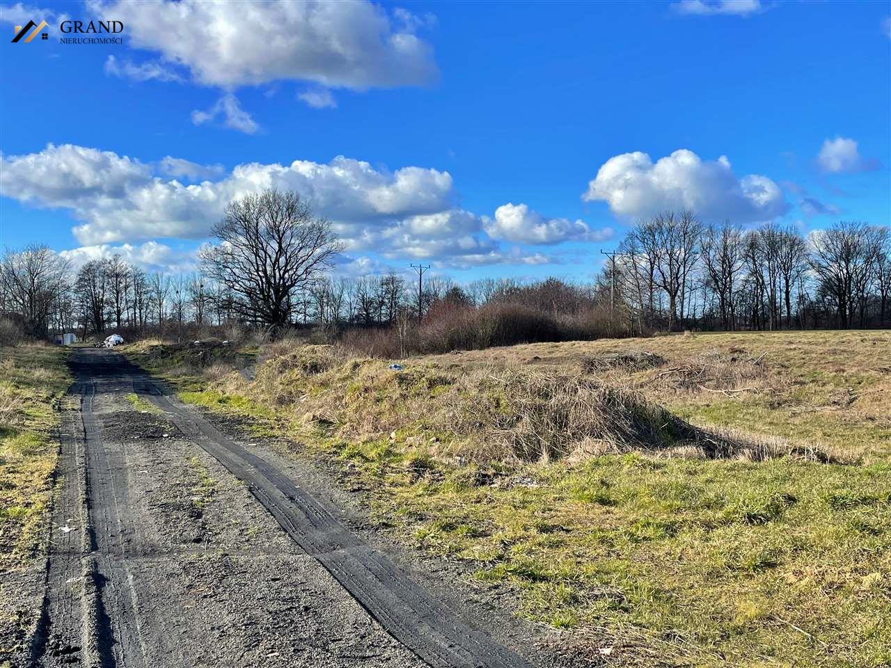 Działka z warunkami zabudowy- Mścice. (7)