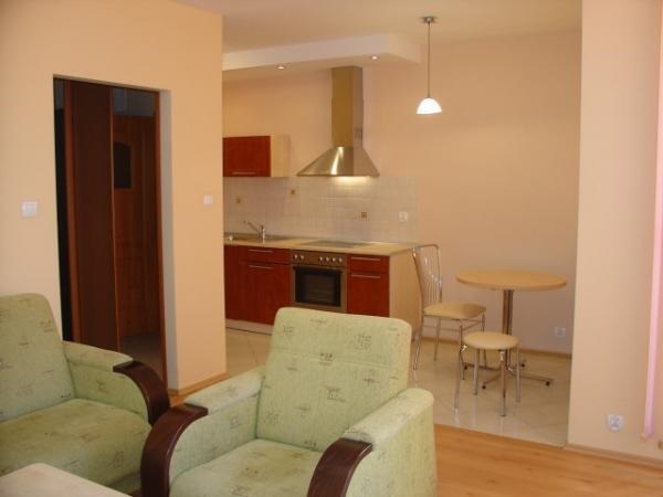 Mieszkanie, 1 pok., 46 m2, Szczecin Stare Miasto (2)