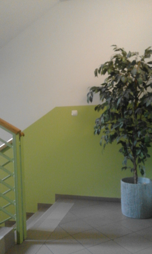 Mieszkanie, 1 pok., 46 m2, Szczecin Stare Miasto (6)