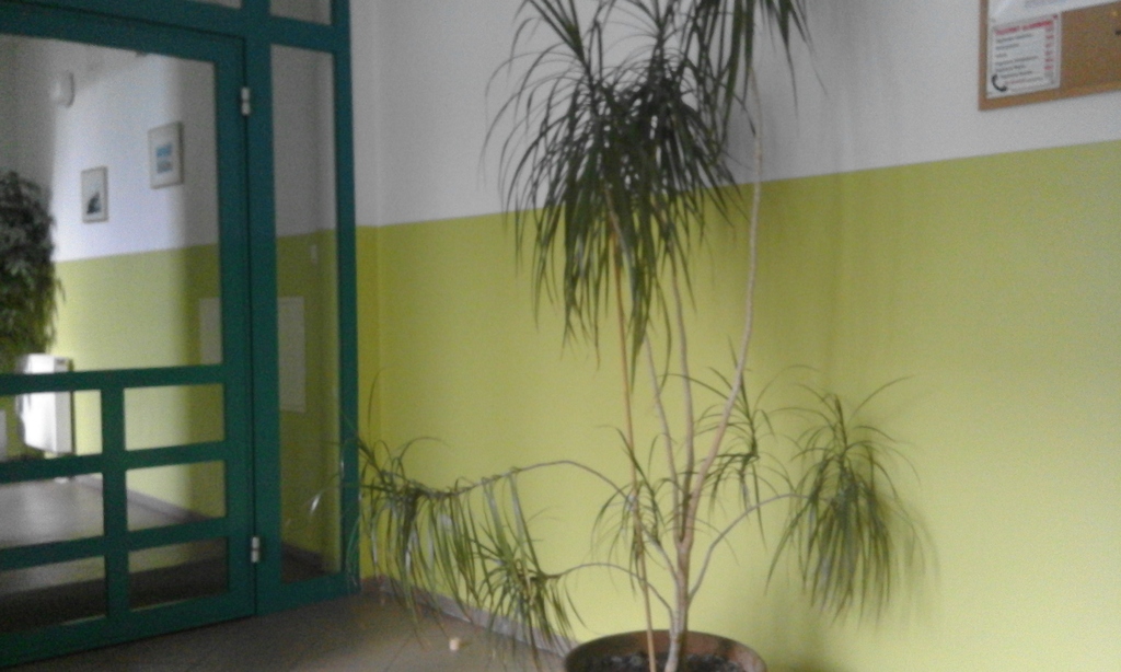 Mieszkanie, 2 pok., 55 m2, Szczecin Stare Miasto (14)