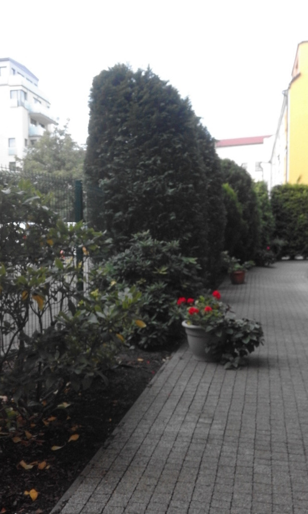 Mieszkanie, 2 pok., 55 m2, Szczecin Stare Miasto (15)