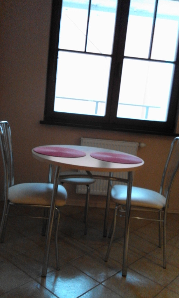 Mieszkanie, 1 pok., 48 m2, Szczecin Stare Miasto (4)