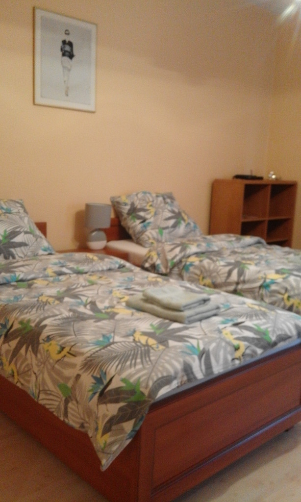 Mieszkanie, 1 pok., 48 m2, Szczecin Stare Miasto (5)