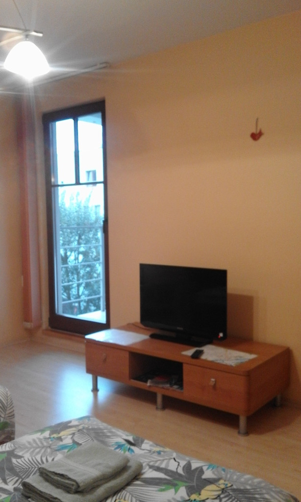 Mieszkanie, 1 pok., 48 m2, Szczecin Stare Miasto (7)