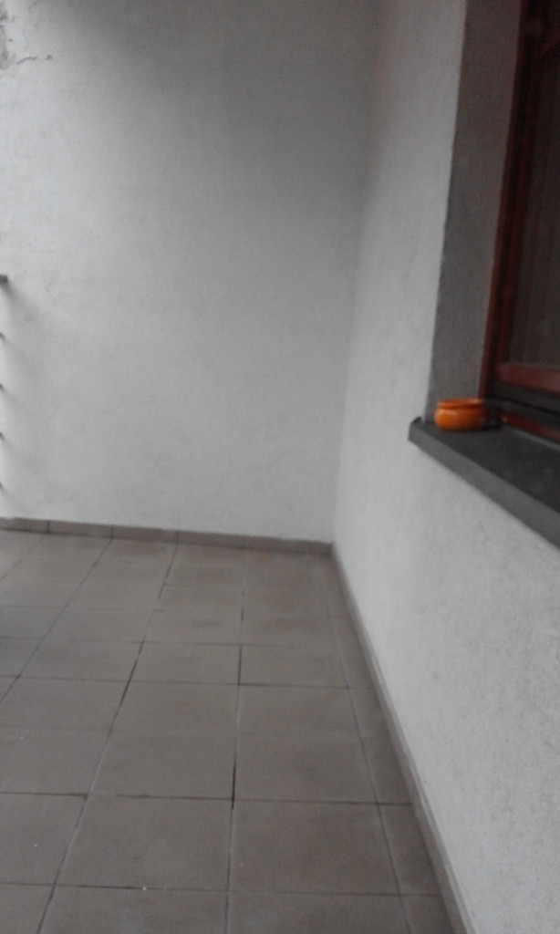 Mieszkanie, 1 pok., 48 m2, Szczecin Stare Miasto (11)