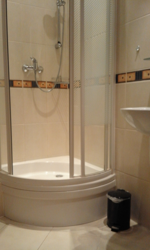 Mieszkanie, 1 pok., 45 m2, Szczecin Stare Miasto (4)