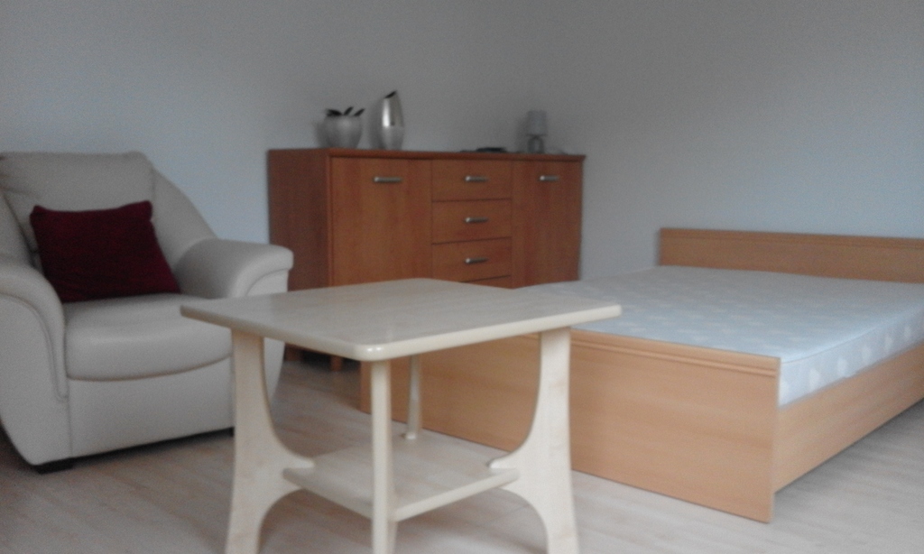 Mieszkanie, 1 pok., 45 m2, Szczecin Stare Miasto (15)